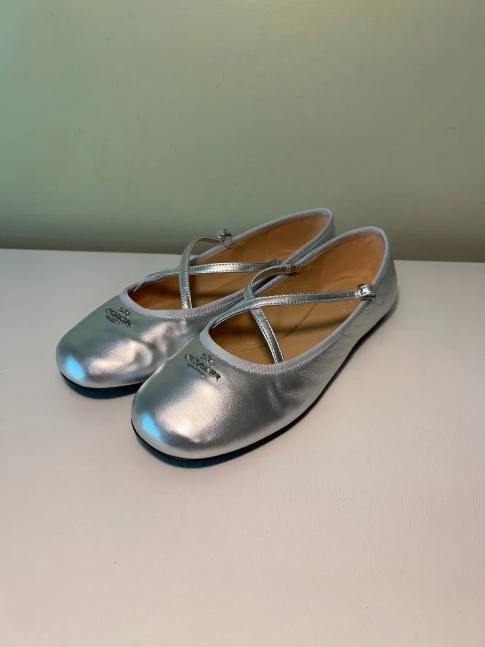 Coach Women's Phoebe Leather Ballet Flats